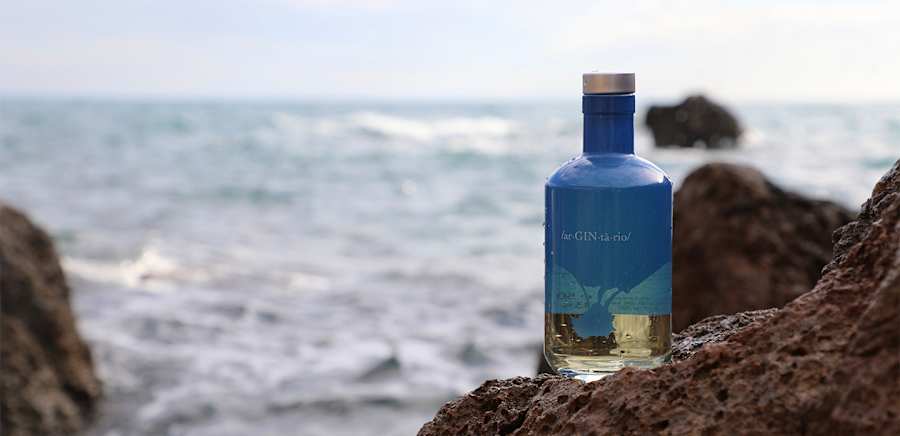 herobanner_ARGINTARIO_T19