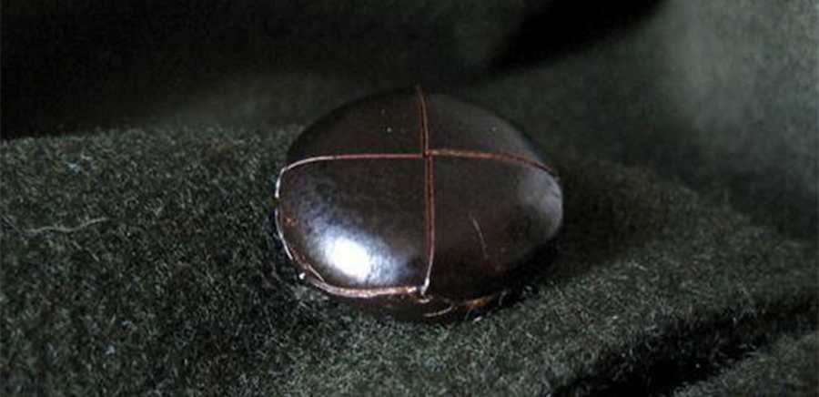 herobanner_SCHNEIDERS_U109