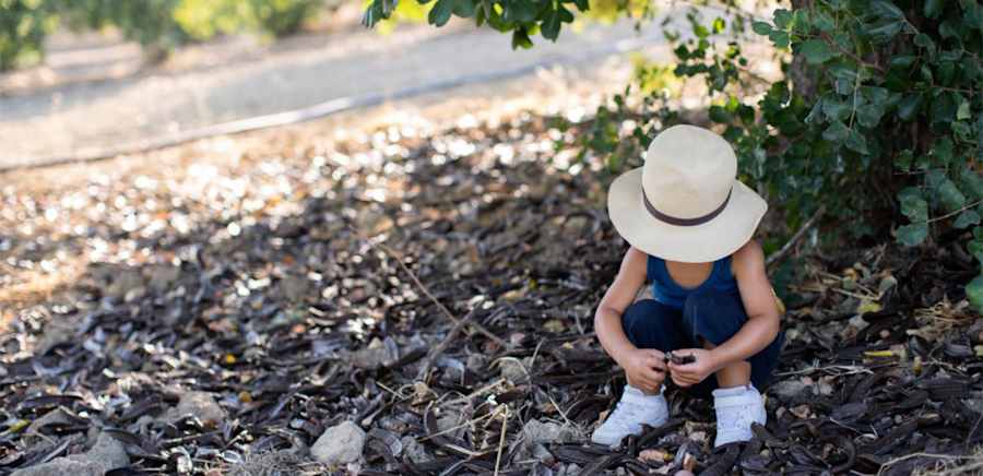 herobanner_CIOKARRUA_T19