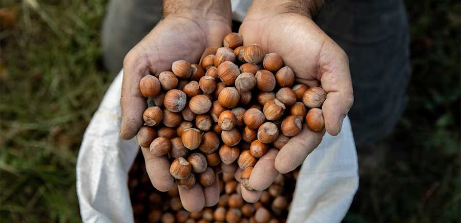 herobanner_RELANGHE_T19