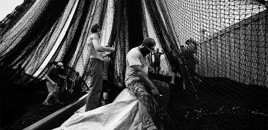 herobanner_ANTICAMARINERIAFAMIGLIAGALLO_T19