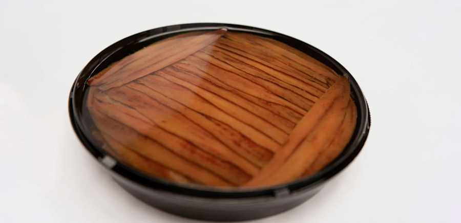 herobanner_CONSERVASLAVIN_T19