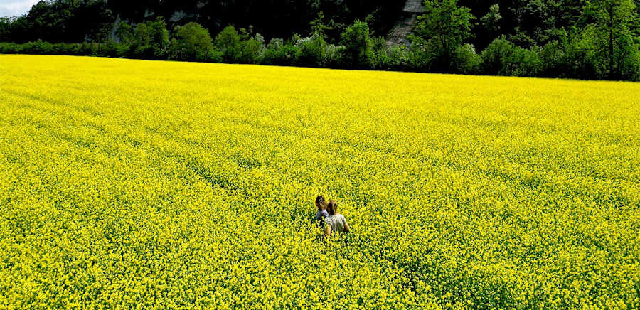 herobanner_MOSTOARDENTE_T19