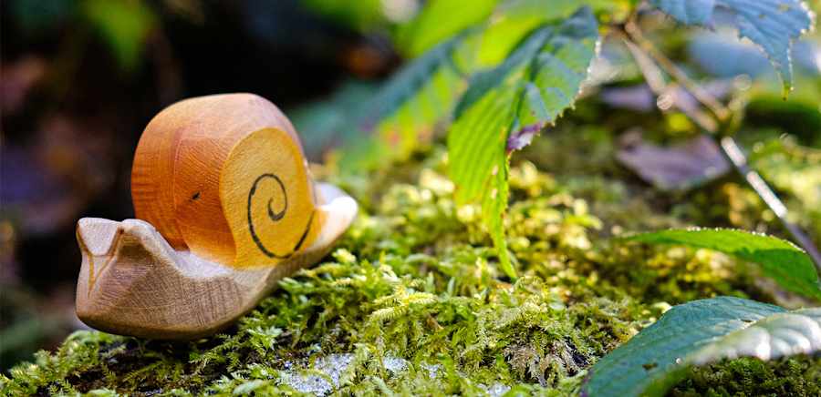 herobanner_HOLZWALD_B102