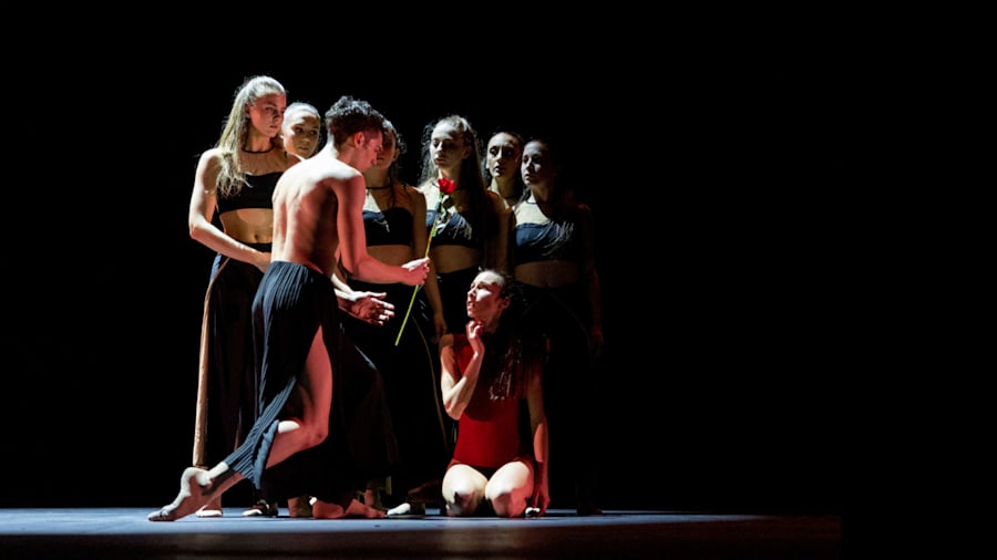 m-i-p-a-d--a-p-s----a-s-d----e-t-s--2672