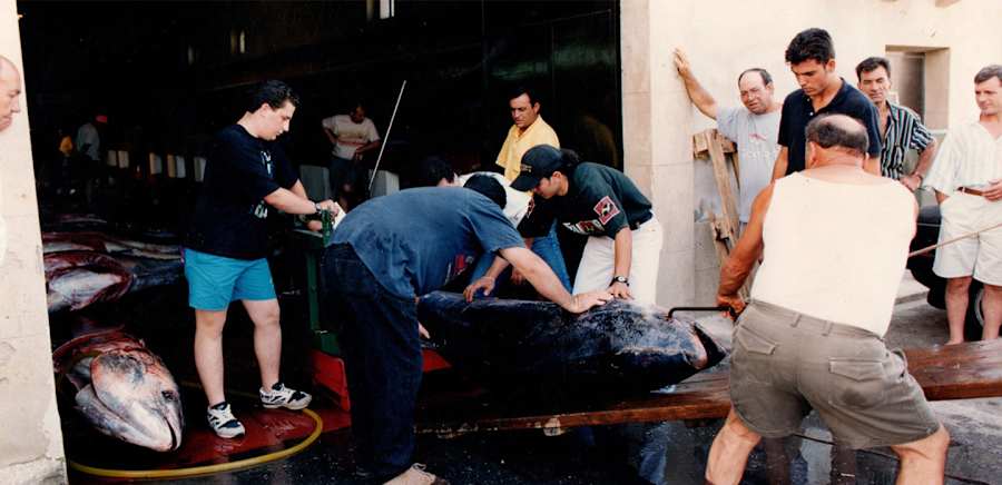 herobanner_ADELFIODIMARZAMEMI_T19