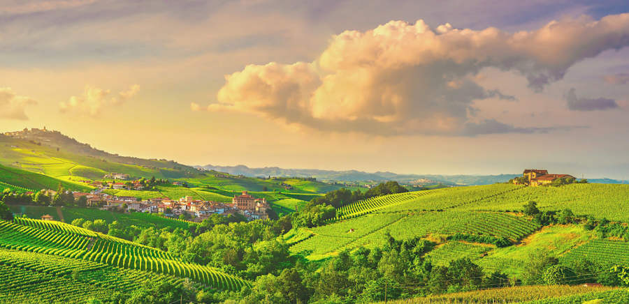 herobanner_LANGASPIRITS_T19