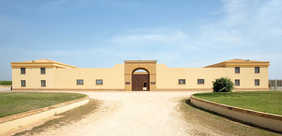 herobanner_GORGHITONDI_T19