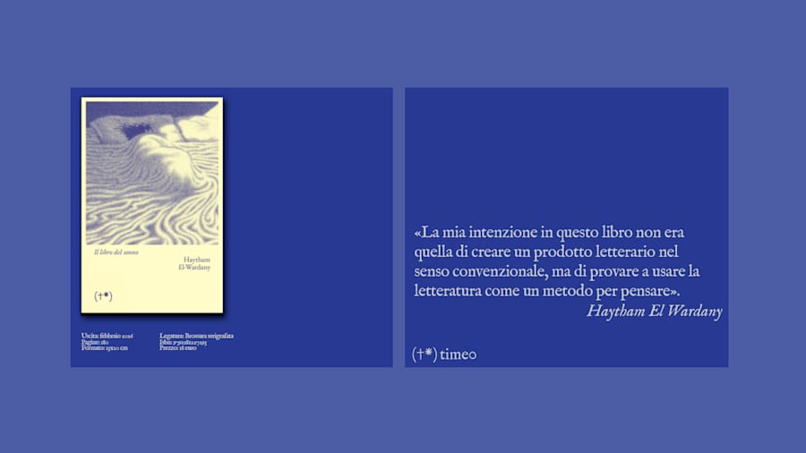 NWS_haytam_el_wardany