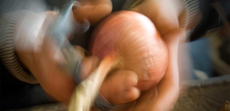 herobanner_GBAGRICOLA_T19