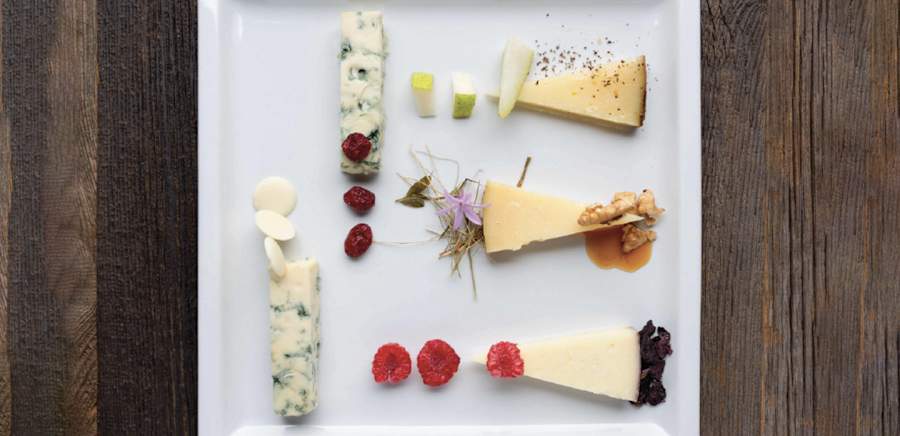 herobanner_LACASEARIACARPENEDO_T19