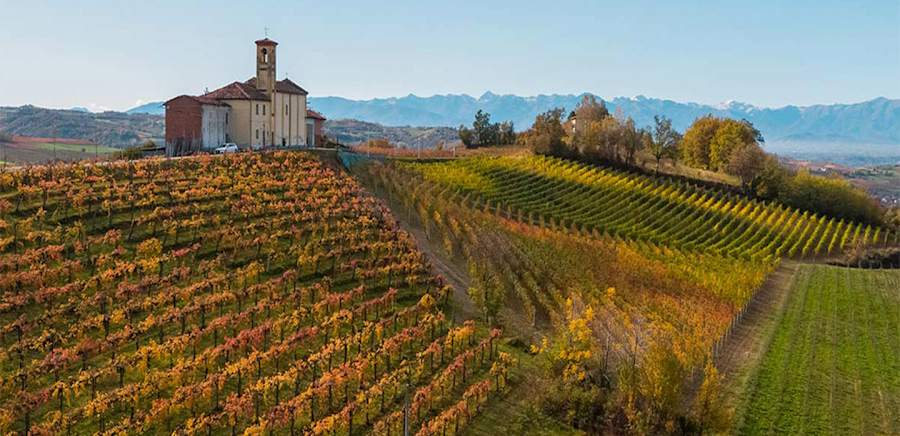 herobanner_TREPILE_T19