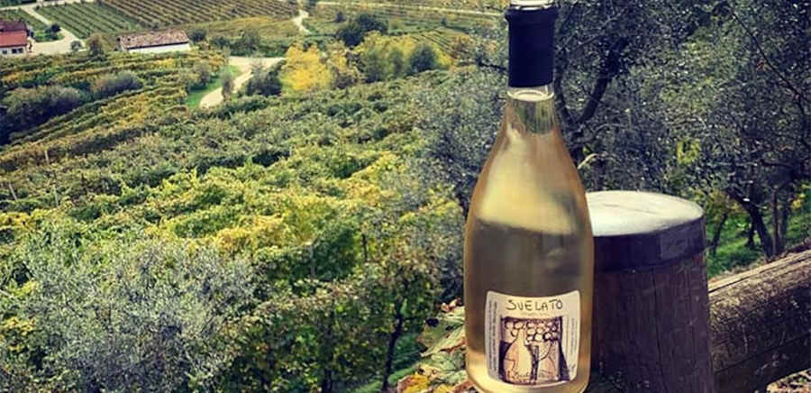 herobanner_MIKEDALTO_T19