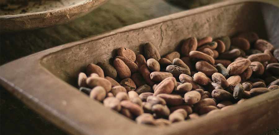 herobanner_ANGIOLINICIOCCOLATO_T19