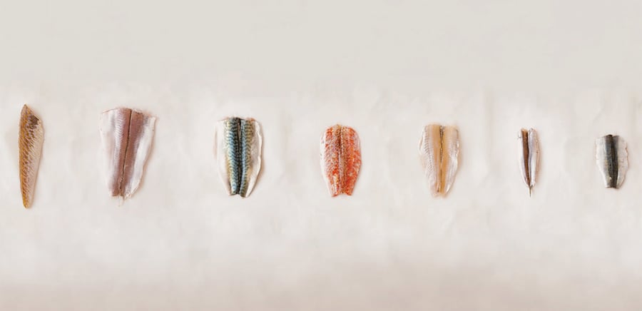 herobanner_ECOPESCE_T20