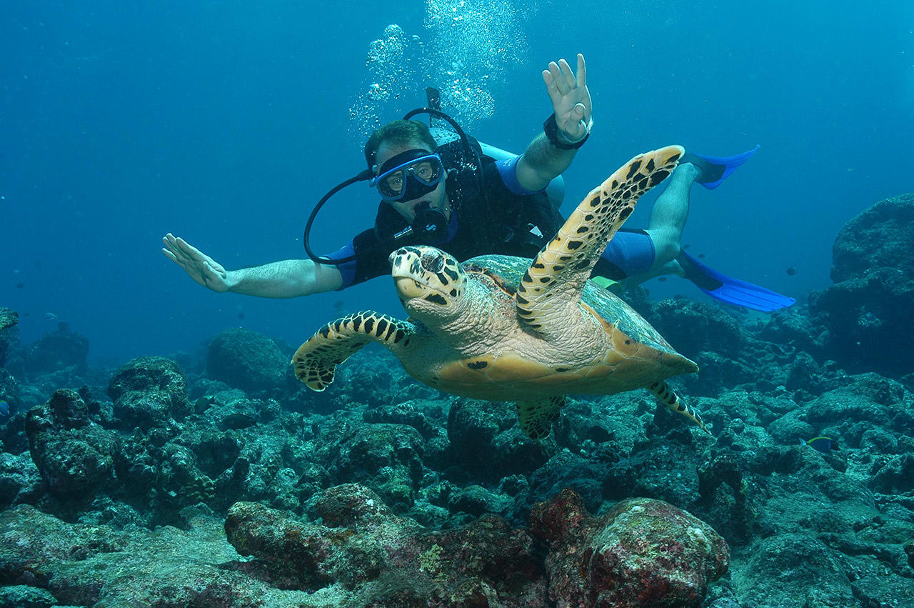 Jean-Christophe-Herault_photo