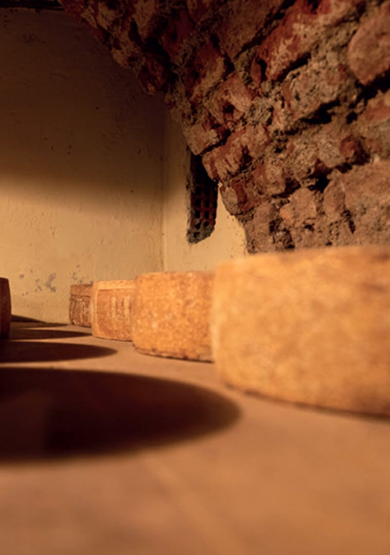 LA-CASERA_brochure-10x15cm_cover-grigia_inglese_2021-5