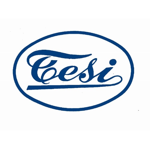 TESI