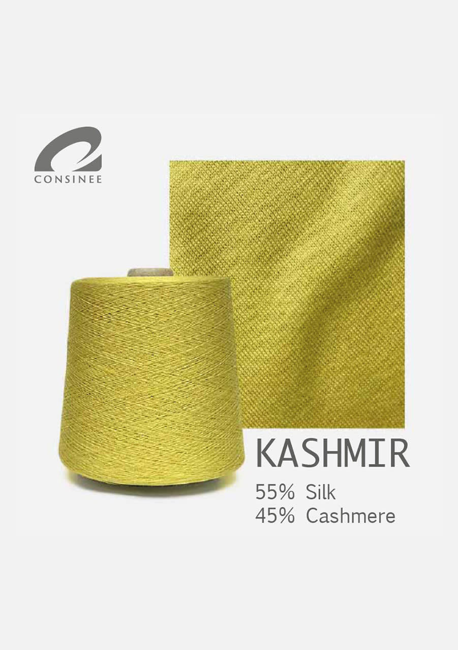 Consinee-Group---6.-KASHMIR