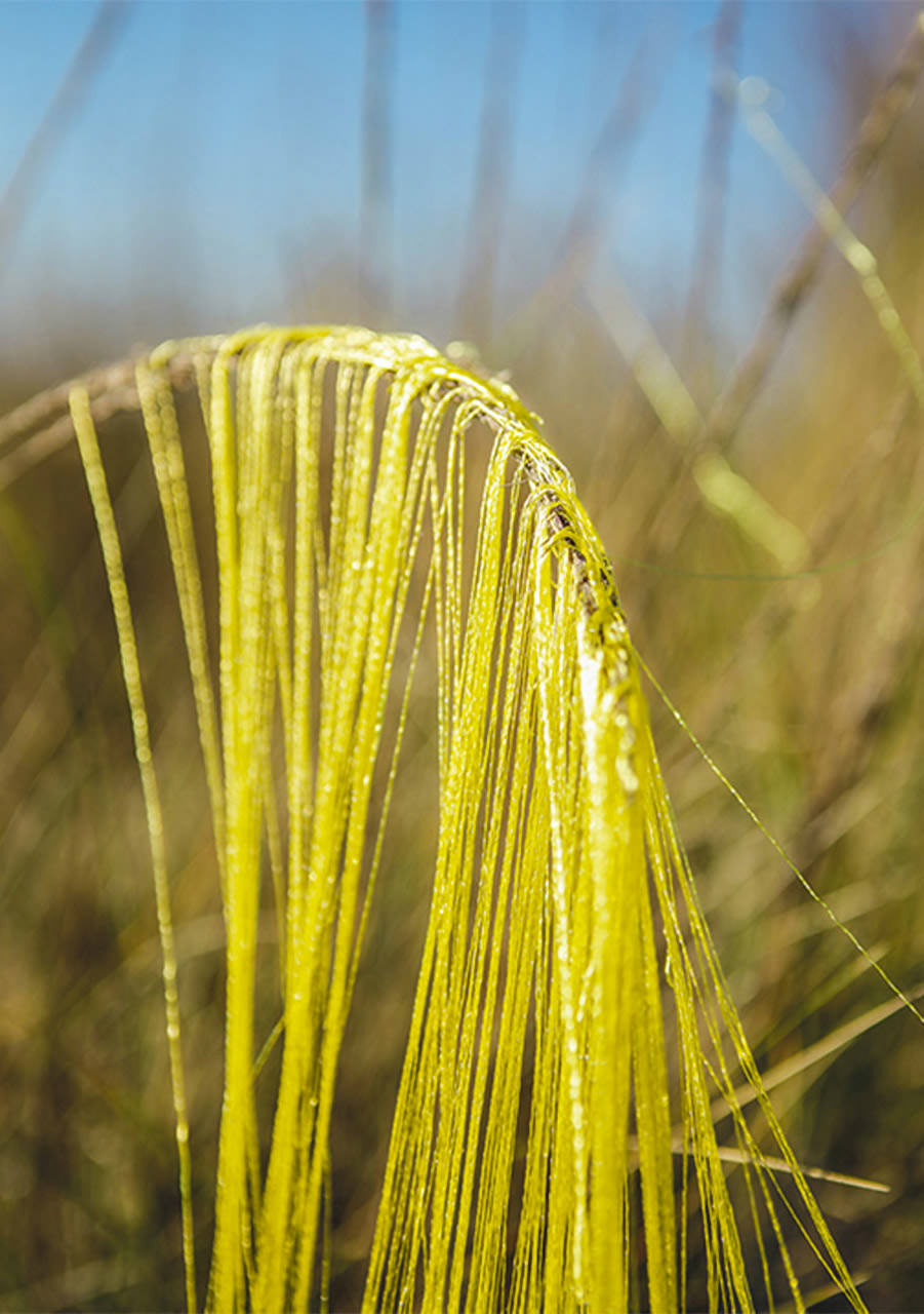 igea---catalogo-web-STUDIO-SS-2022-6