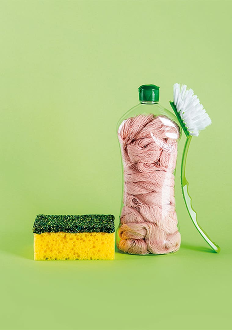 catalogo-web-LAB-SS-2022-6