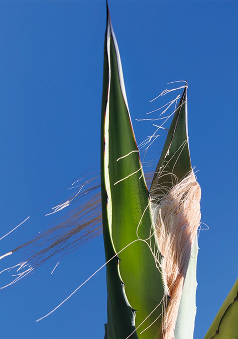 catalogo-web-STUDIO-SS-2022-8