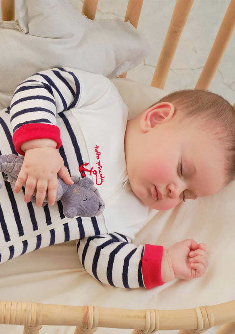 Copia-di-X4AMGJ_Cilantro_lk_IP_2_BCDMEE