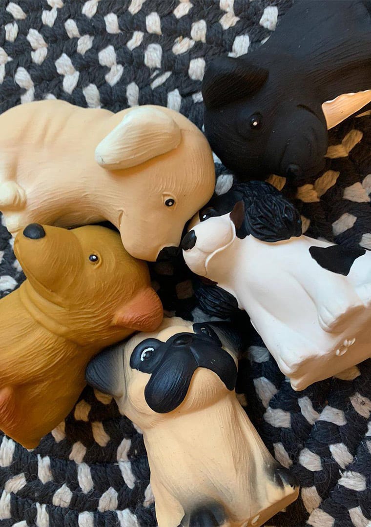 139000666_3965769516820608_4982376265081930534_o