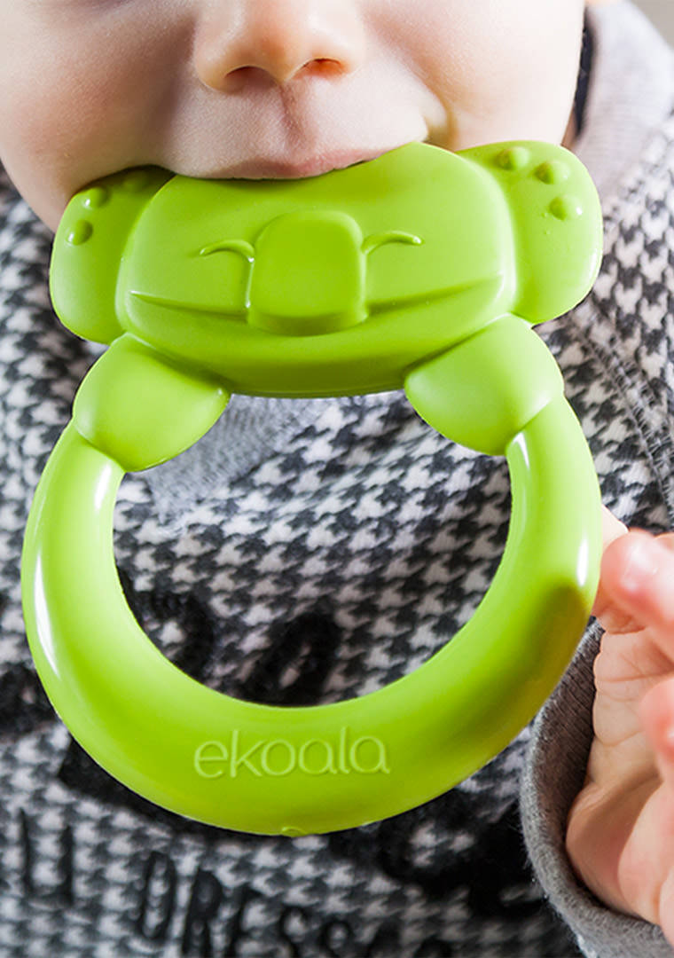 ekoala-13-foto-1000x1300px