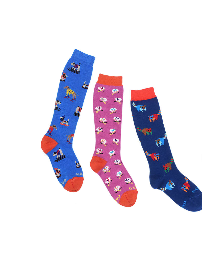 Gallo-Pitti-Bimbo-gen-2020_02_1