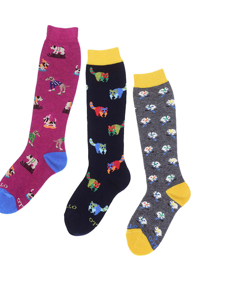 Gallo-Pitti-Bimbo-gen-2020_03_1