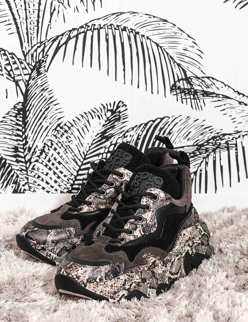 colors-of-california