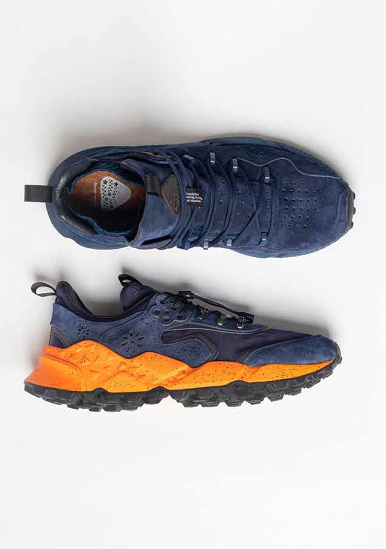 Copia-di-dynamic_flower_mountain