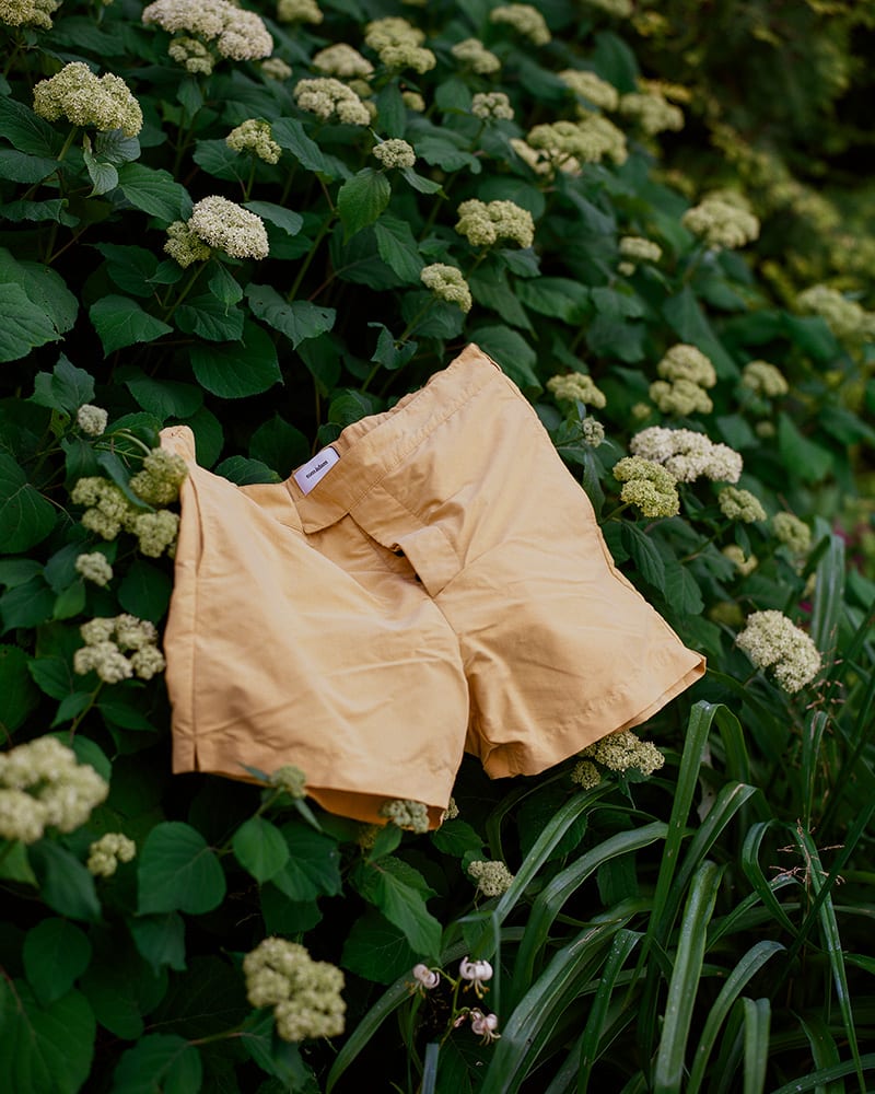 66986_37574_TOM-ADAM