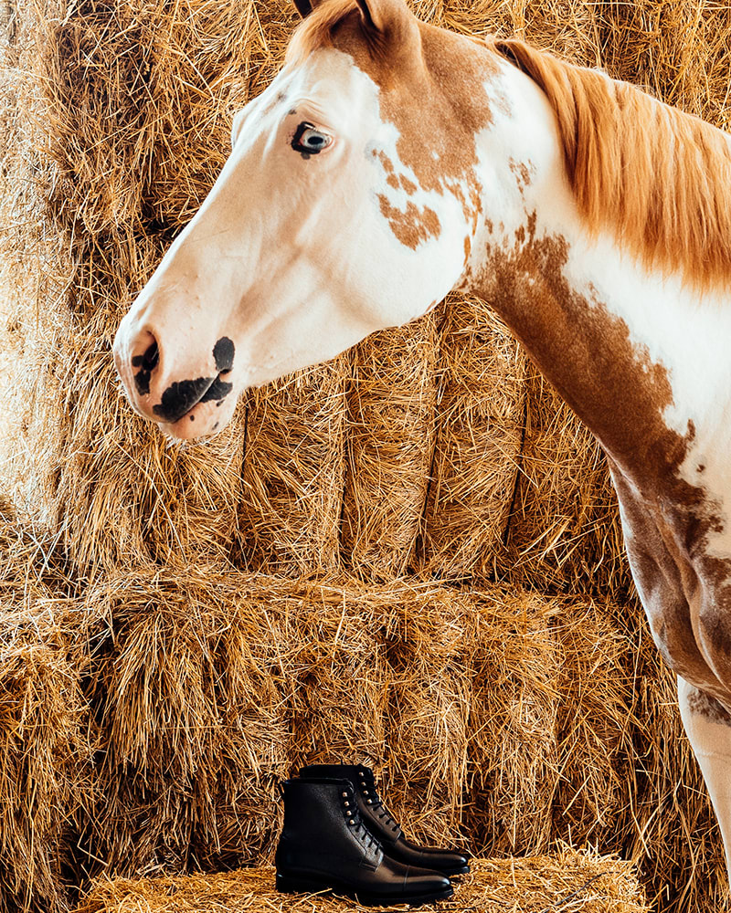 65121_43937_CASA-FAGLIANO