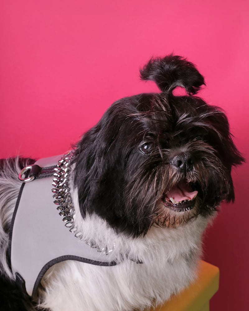 67831_44002_BAEBCLUB