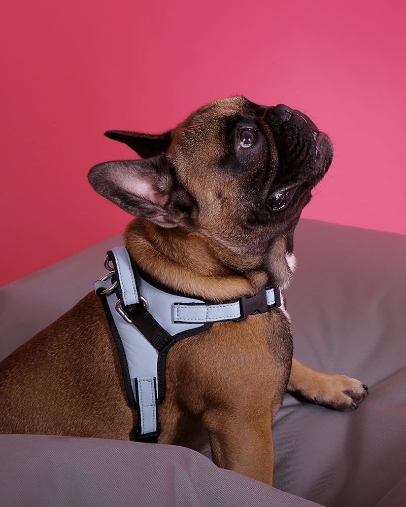 67831_44005_BAEBCLUB