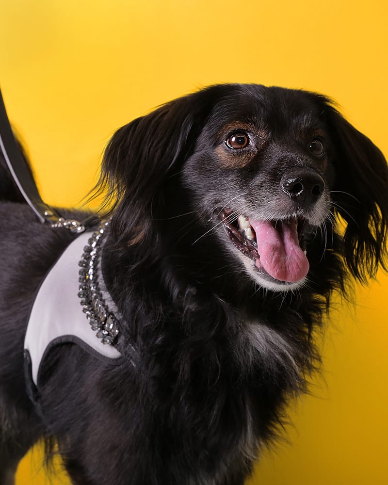 67831_43999_BAEBCLUB