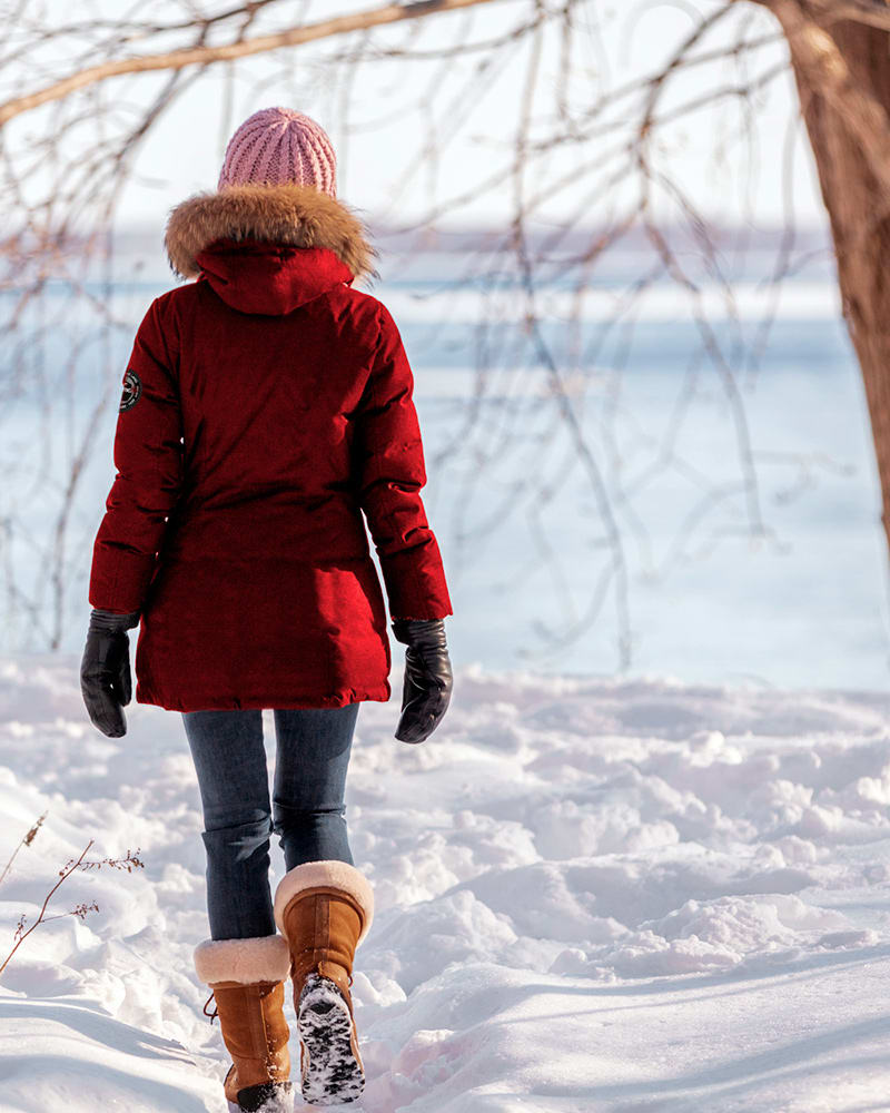 2375_43206_ANTARTICA