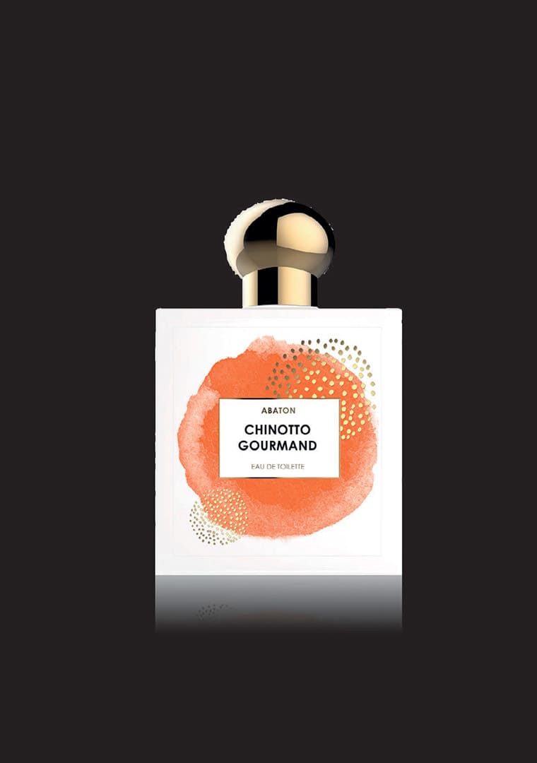 Abaton-International-Presentation-7