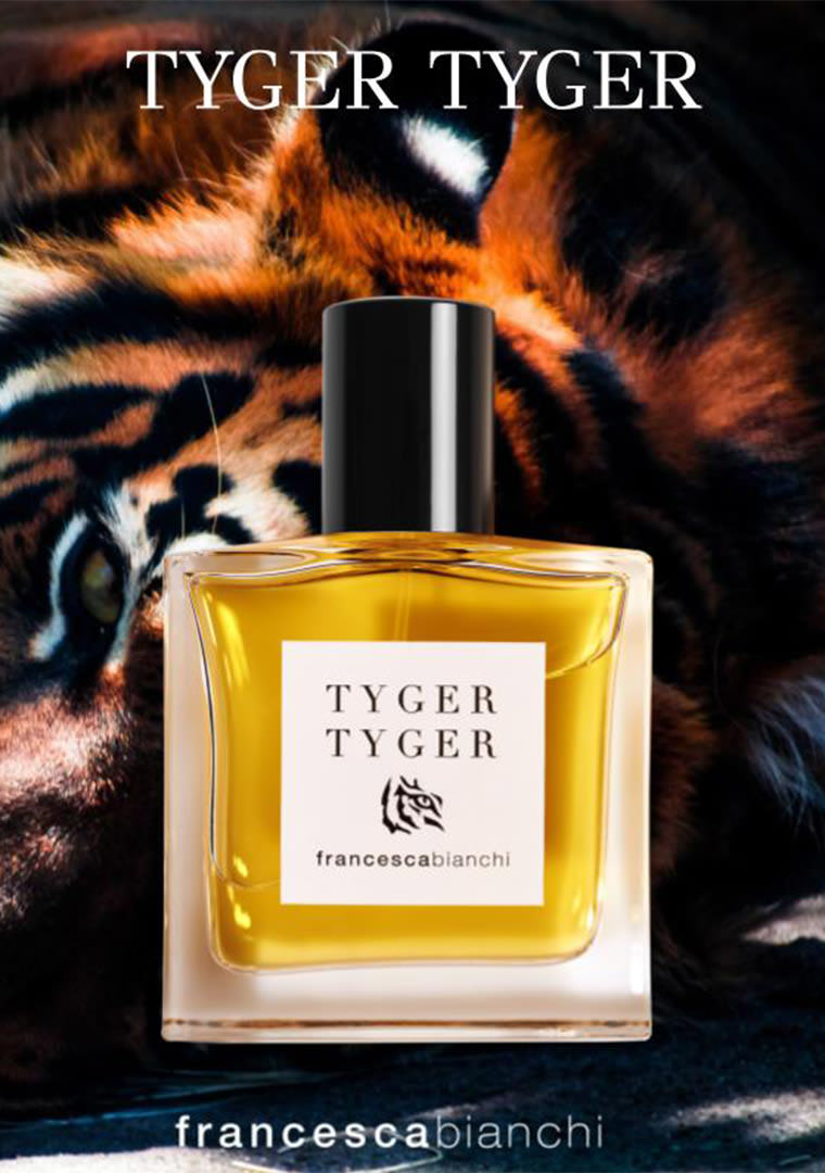 tyger-tyger-communication