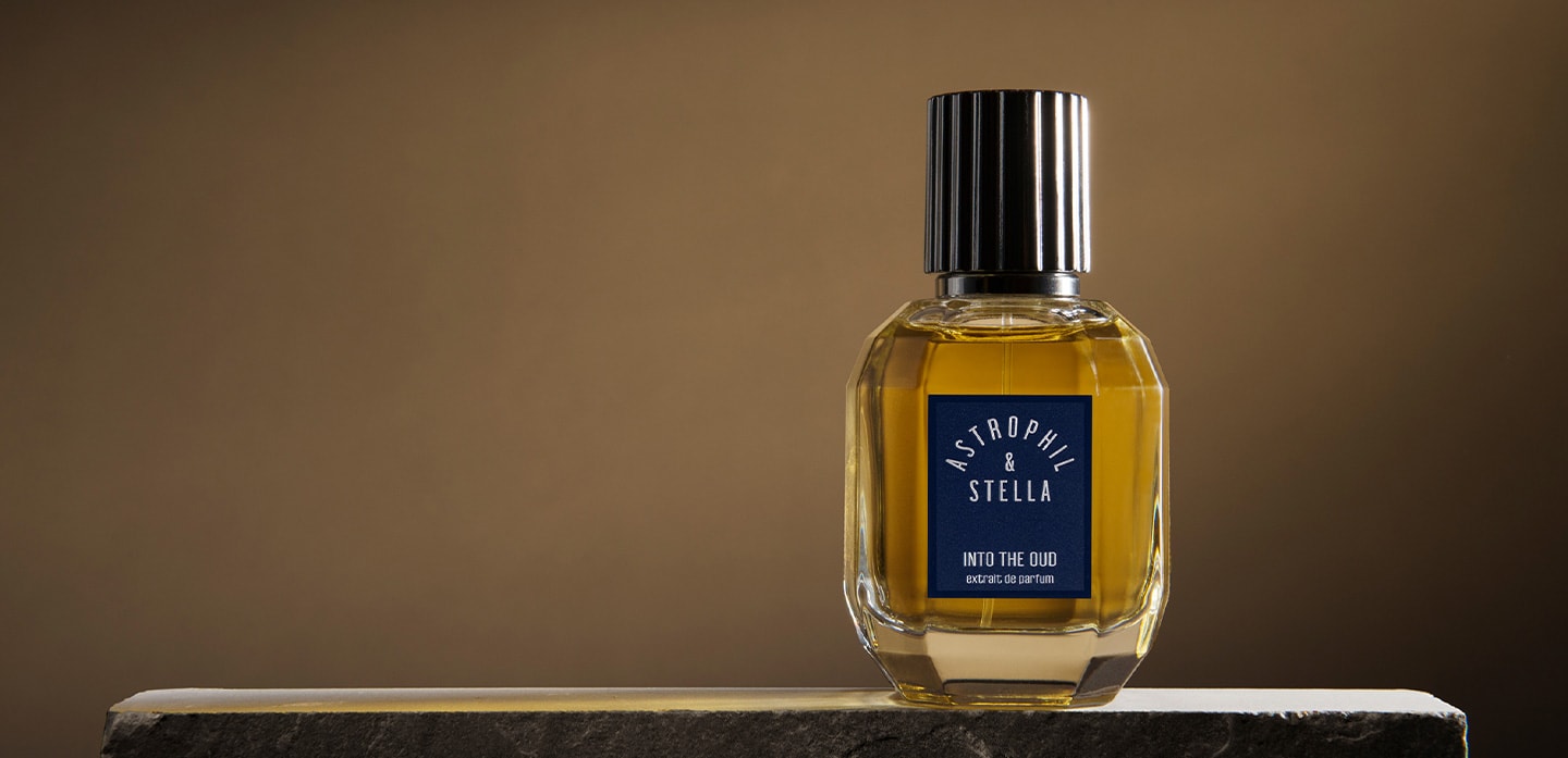 Into the Oud◇ASTROPHIL&STELLA 50ml Astrophil & Stella Into the Oud extrait de parfum 50 ml