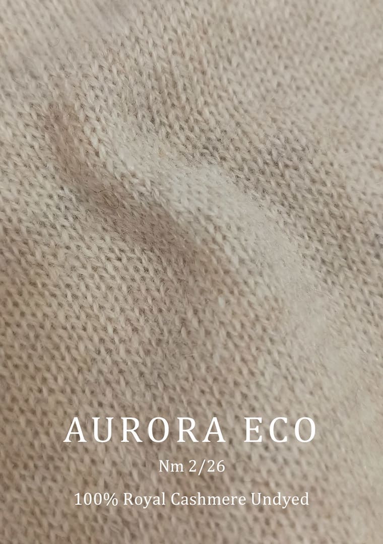 AURORA-ECO