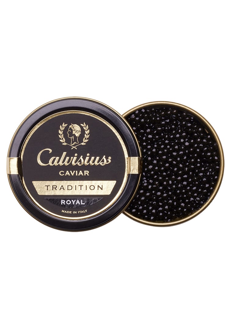 calvisius-Tradition-Royal