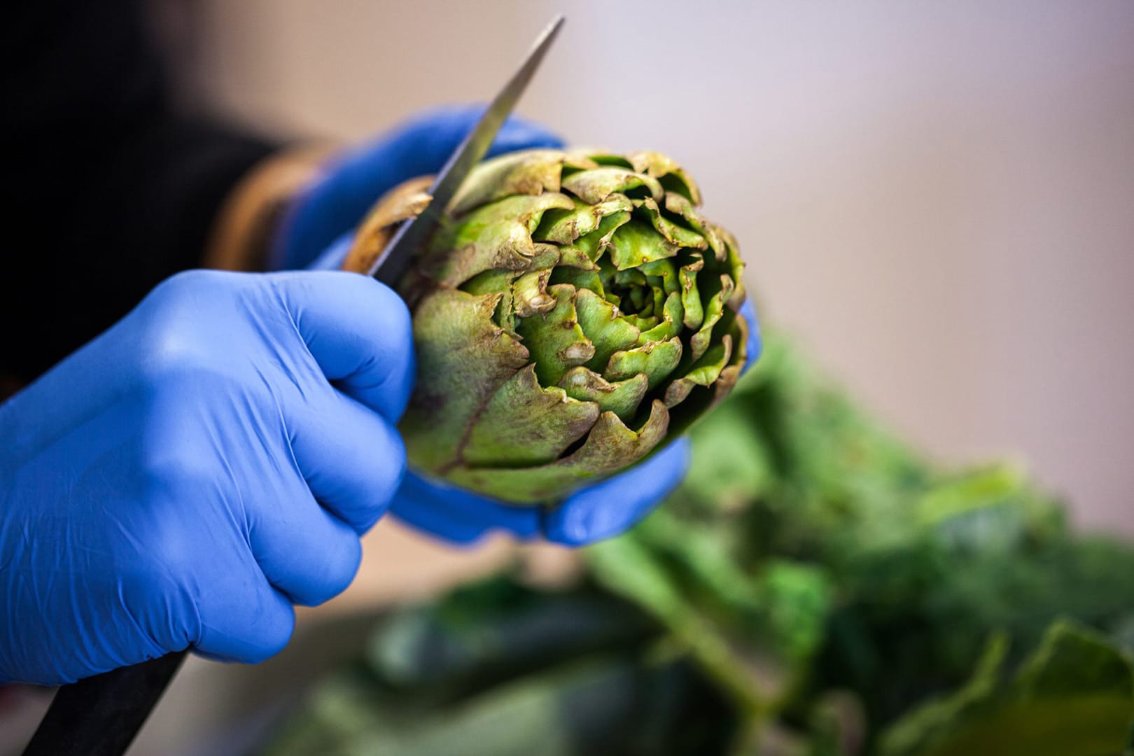 49807992_2217918174896846_6087034480336306176_n