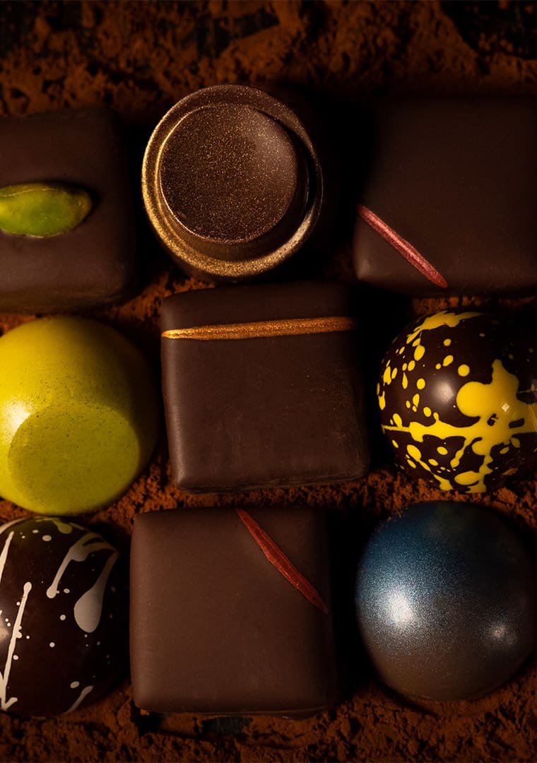 ZICCAT-_-EXTRA_2_V01