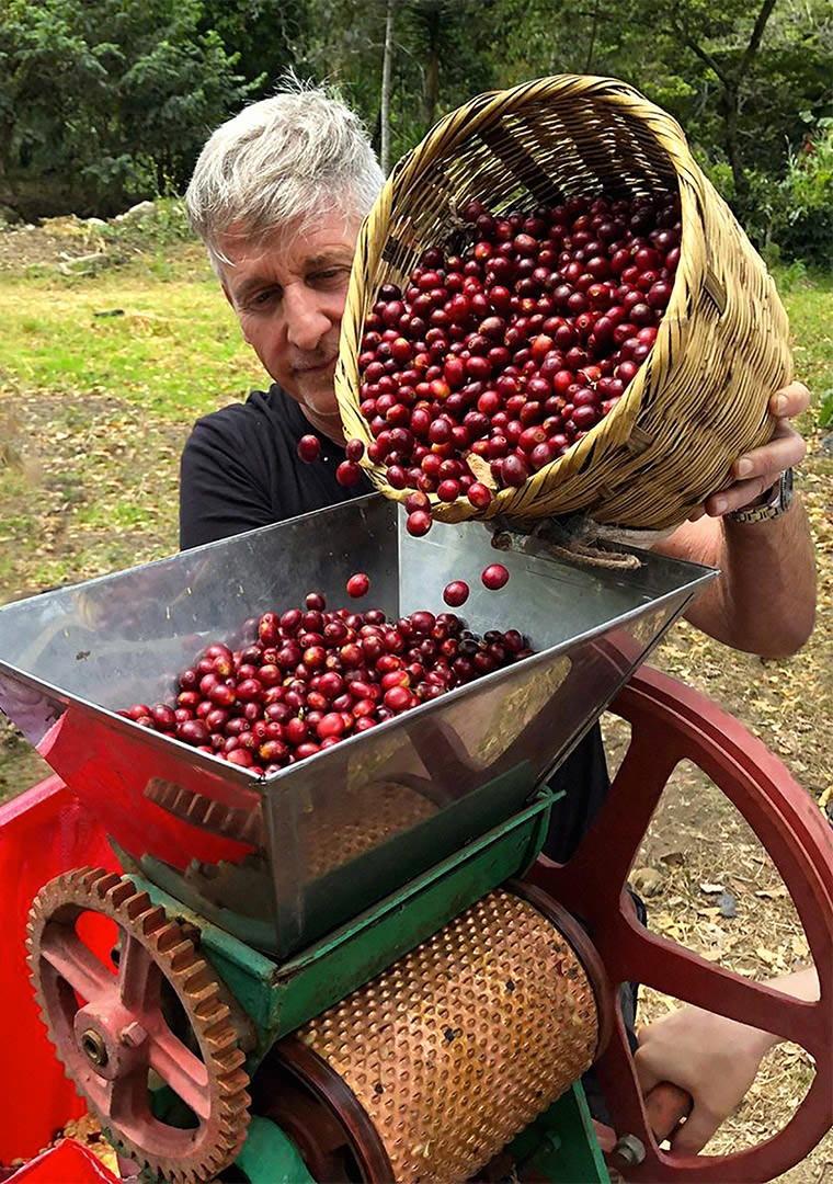 13-fase-DESPOLPAMENTO-Fabio-Neri-la-Tosteria