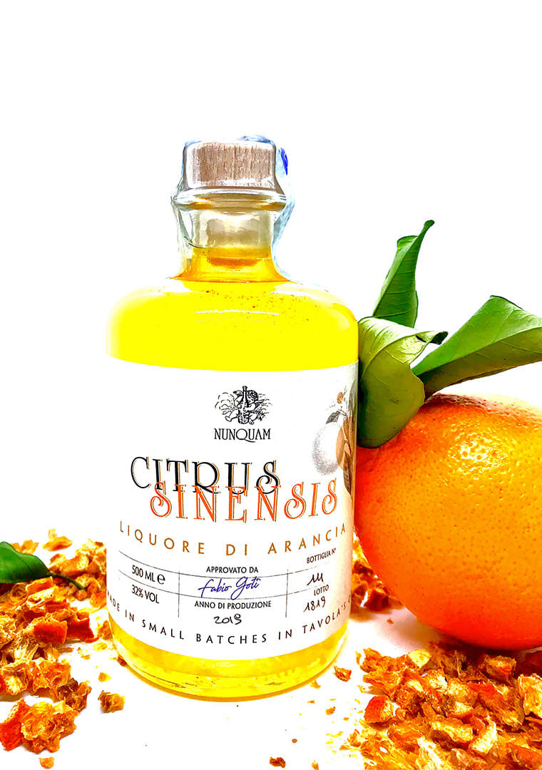 citrus-sinensis-con-sfondo3