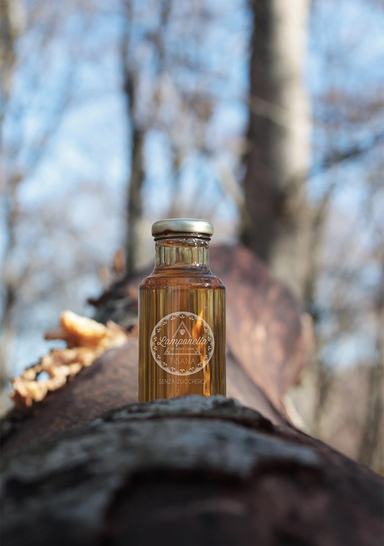 Lamponella-Mono-Verticale