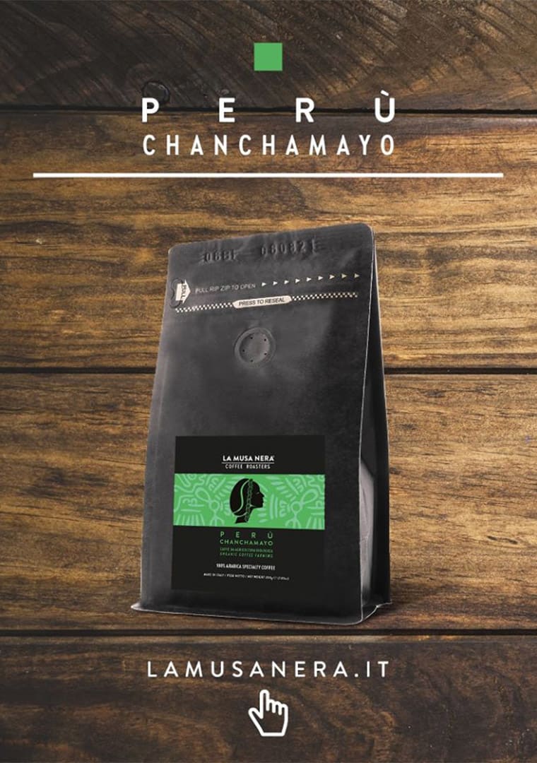 96284474_259021292138351_9125062868264288256_o